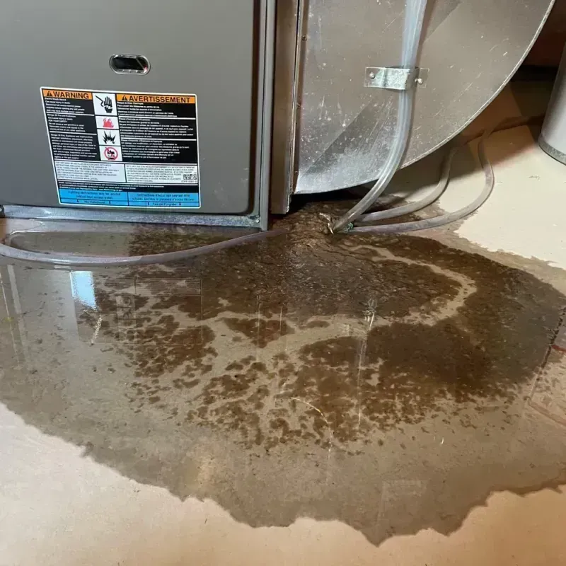 Appliance Leak Cleanup in Strasburg, CO